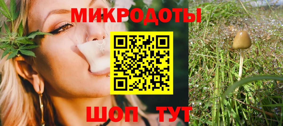 Галлюциногенные грибы Cubensis Кемерово